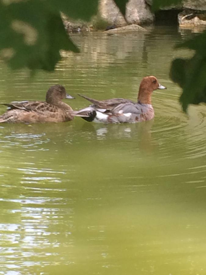 La Mare Aux Canards Cordieux Экстерьер фото